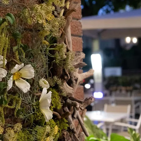 Hotel Orsa Maggiore 3*