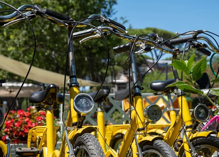 Orsa Maggiore Milano Marittima