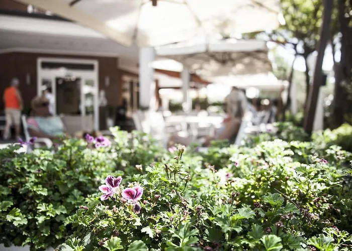 Orsa Maggiore Hotel 3*